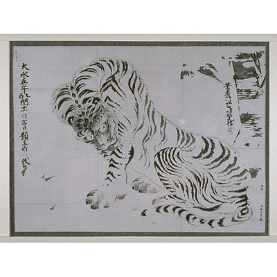 Tiger Image