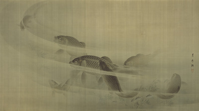 Playful Carps Image