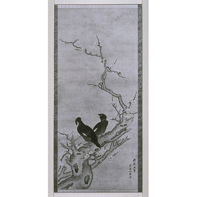 White Plum Blossoms and A Pair of Ravens Image