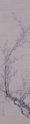 Plum Blossoms Image