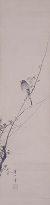 Bird on Plum Image