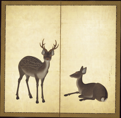 Deer Image