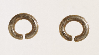 Earrings Image