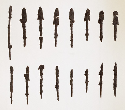 Arrowheads Image