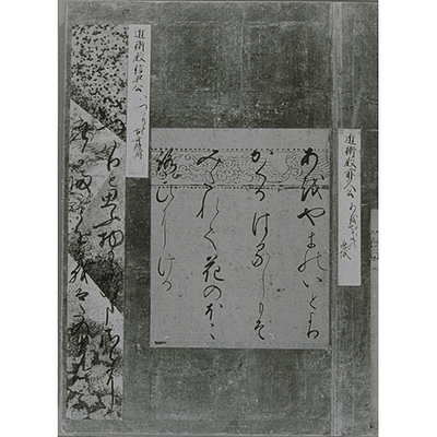 Poem on Tanzaku Strip from the Kanbokujo Album of Exemplary Calligraphy Image