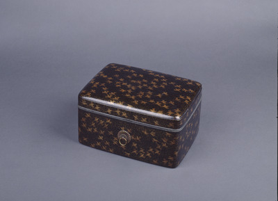 Toiletry Case with Plovers Image