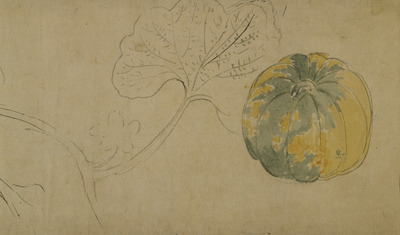 Reduced-size Copy of Kusabana Seisha Zukan (Sketches of Flowers and Plants) Image