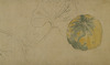 Reduced-size Copy of Kusabana Seisha Zukan (Sketches of Flowers and Plants) Image