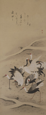 Cranes in a Harvested Rice Field Image