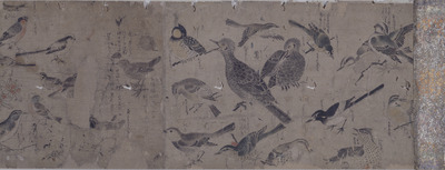 Sketches of Birds Image