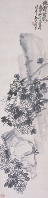 Chrysanthemums Image