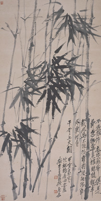 Bamboo Image