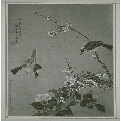 Birds, Plum Blossoms, and White Camellias Image