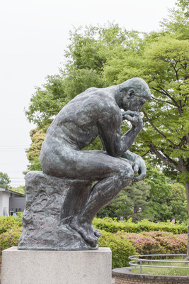 The Thinker Image