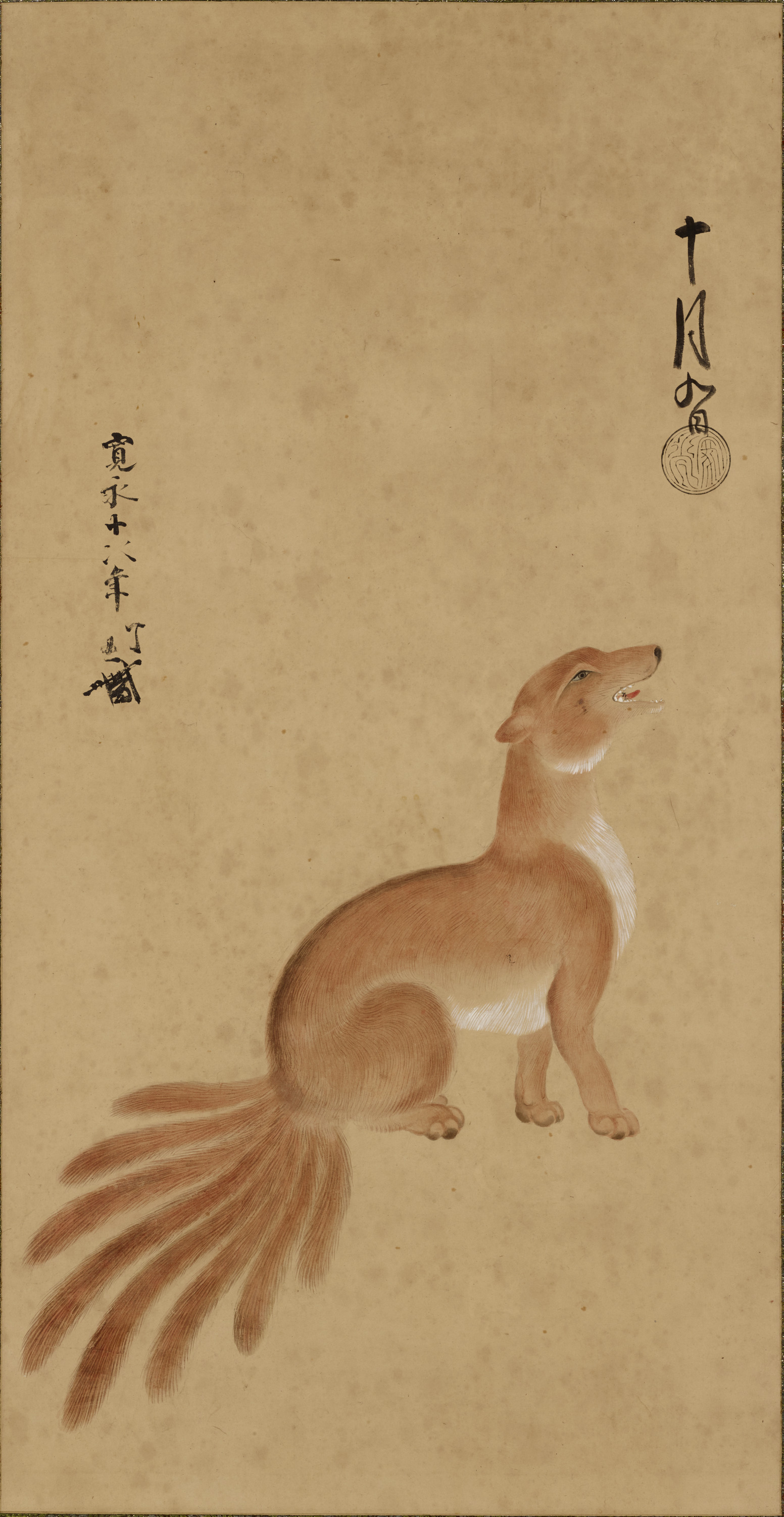 八尾狐図 Image
