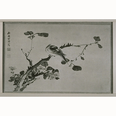 Flowers and Bird Image