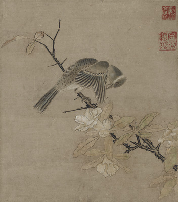 Bird and Flowers Image