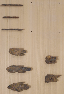 Arrowheads and Needles Image