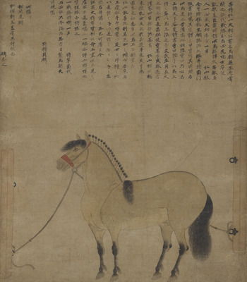 Swift Horse Image