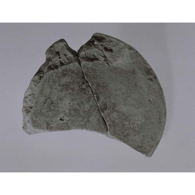 Fragment of Round Eaves Tile with Plain Lotus Petal Design Excavated from Toyura-dera Temple Image