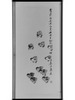 雛鳥図 民国３０年 画像