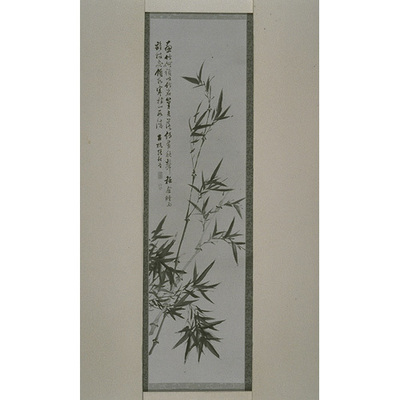 Bamboo Image