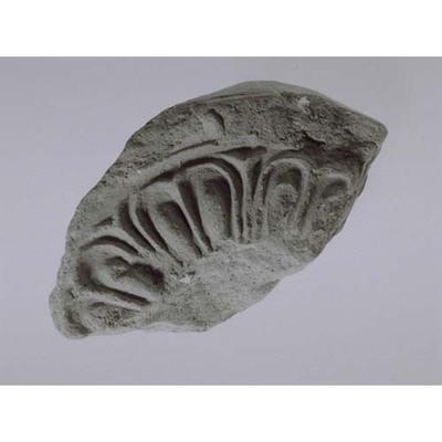 Fragment of Round Eaves Tile with Double Lotus Petal Design Excavated from Taimadera Temple Image