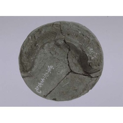 Round Eaves Tile with Double Lotus Petal Design Excavated from Obara-dera Temple Image