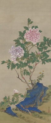 Peonies Image