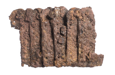 Scale Armor Fragments Image