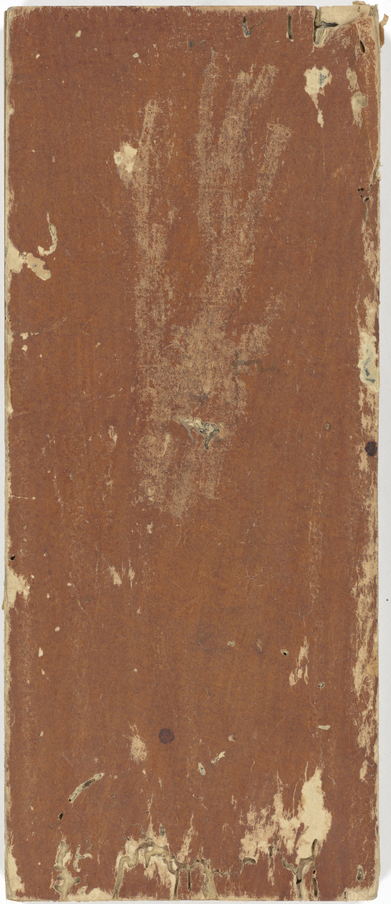 大般若経巻第三百八十四 画像