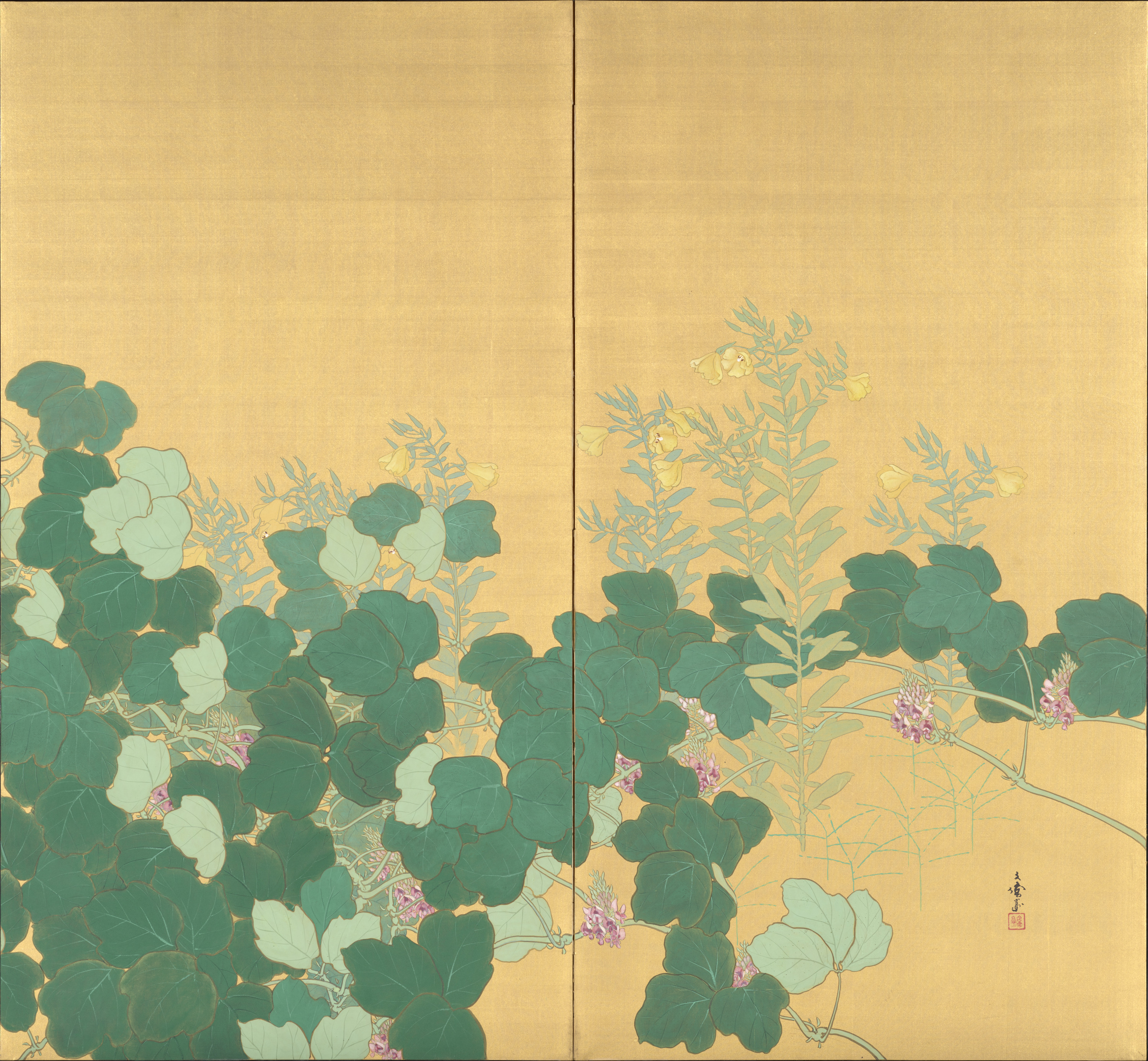 秋圃 画像