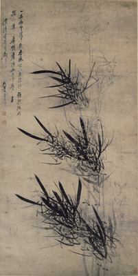 Bamboo Image