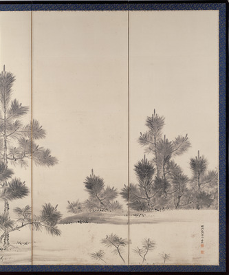 Old Pine and Young Pines Image