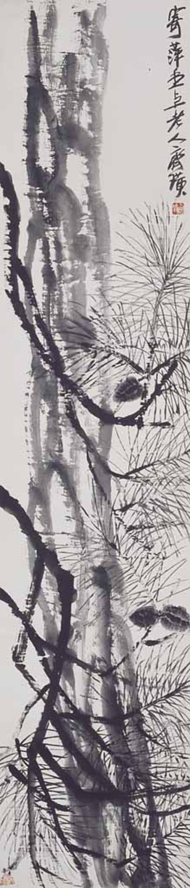 松図 画像