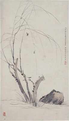 楊燕図 画像